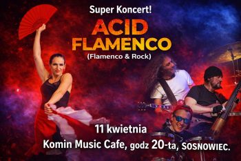 Acid Flamenco – Flamenco & Rock